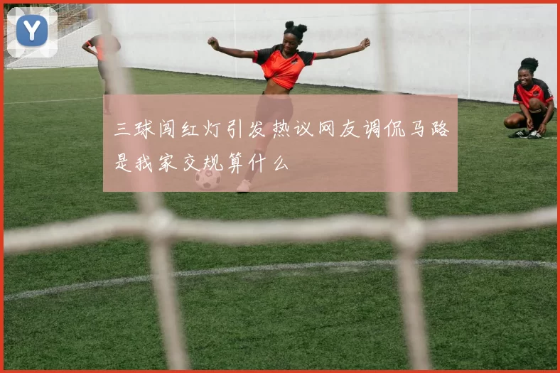 三球闯红灯引发热议网友调侃马路是我家交规算什么