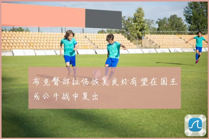 布克臀部拉伤恢复良好有望在国王或公牛战中复出