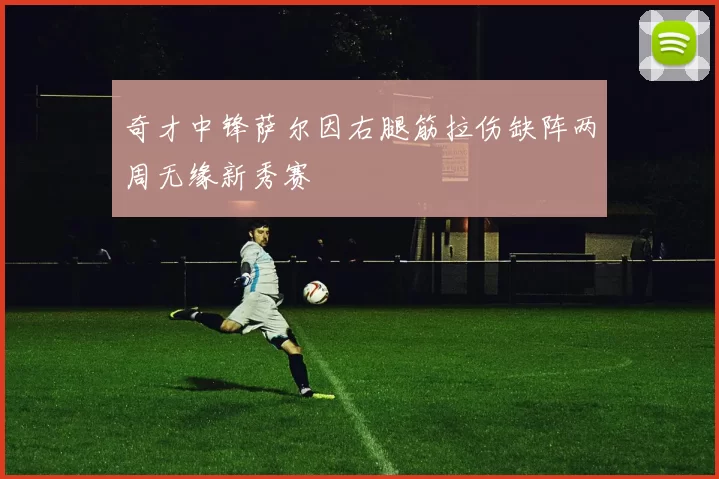 奇才中锋萨尔因右腿筋拉伤缺阵两周无缘新秀赛